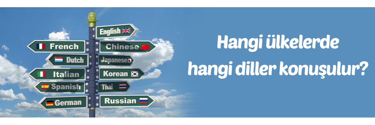 Neden İngilizce öğrenmelisiniz?